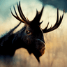 Profile image of Harry
